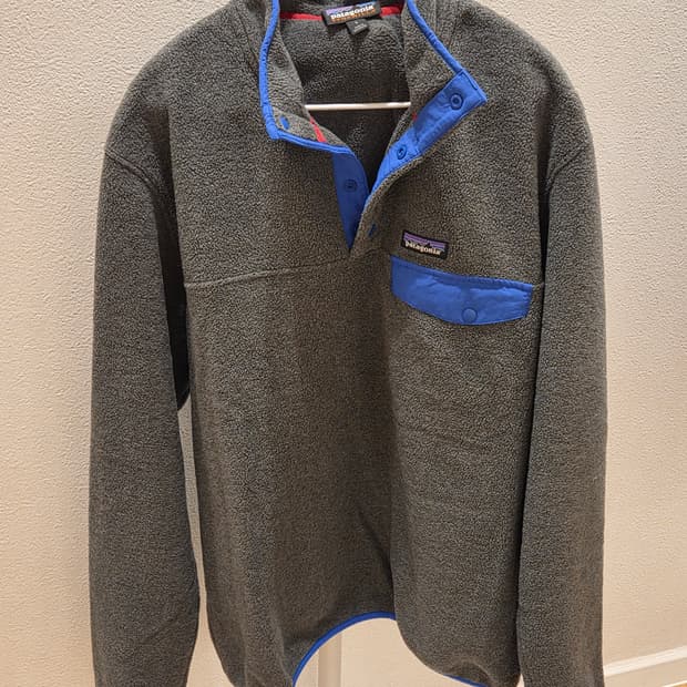 파타고니아 친칠라 그레이 라지