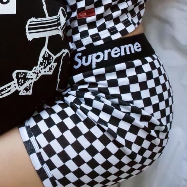 Surpeme x Hanes 슈프림 헤인즈 체커 브리프 속옷