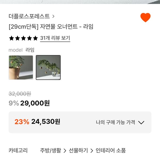 더플로스포레스트 자연물 오너먼트 - 라임