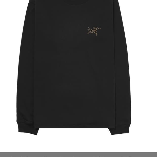 아크테릭스 롱슬리브