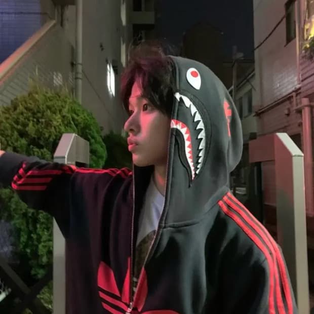 아디다스 베이프 샤크 후드집업 M 오늘 구매하시면 할인 (완전 새거