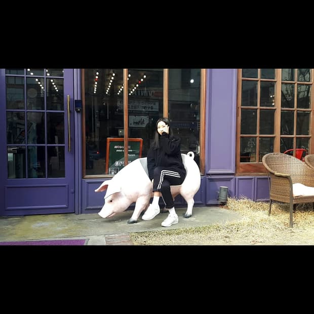 바지파라요