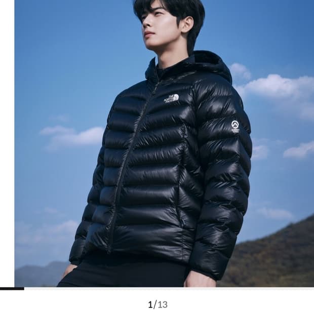 노스페이스 써밋 마테호른 다운 자켓 105