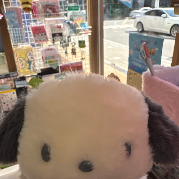 포차코 롱파우치