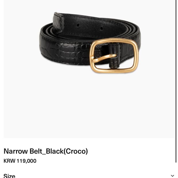 Aieul Narrow Belt_Black(Croco) 