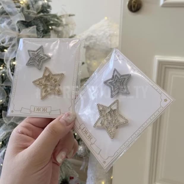 디올 스타 헤어클립 2피스 세트