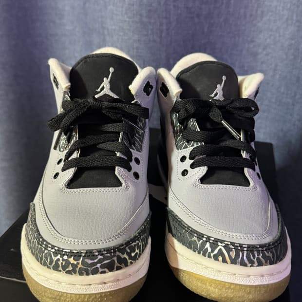 조던3 레트로 울프그레이 레오파드 245