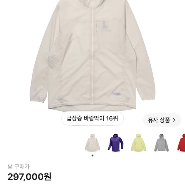 아크테릭스 스쿼미시 후디 아크틱 실크