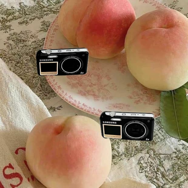 셀카&한효주!) Samsung VLUU PL121 디카 카메라