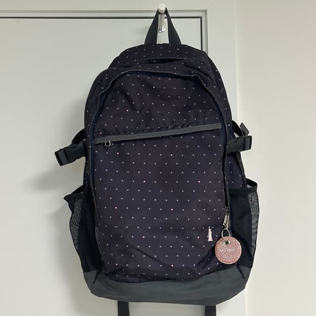 이스트보이 도트 백팩