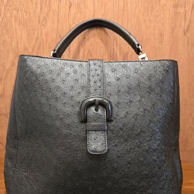 호미가 타조가죽가방