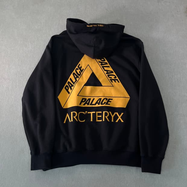 105 아크테릭스 x 팔라스 후드티