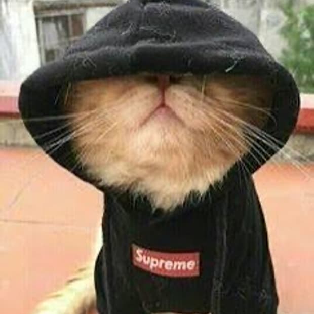 일본 오사카 대리구매대행