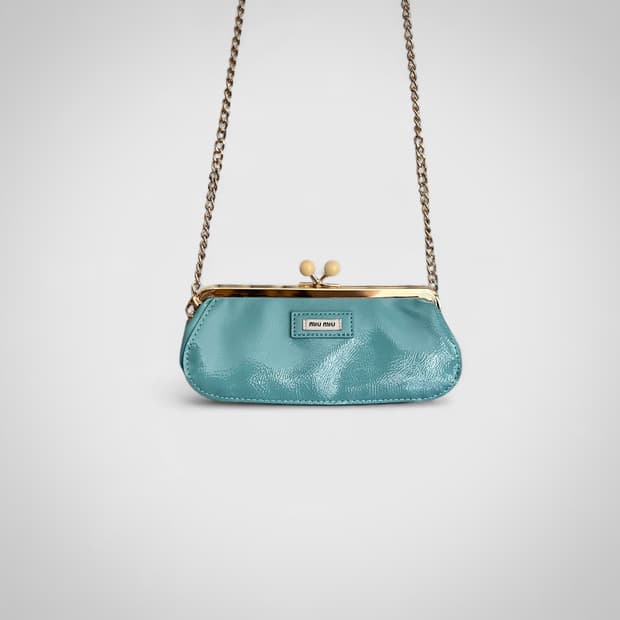 miumiu bag