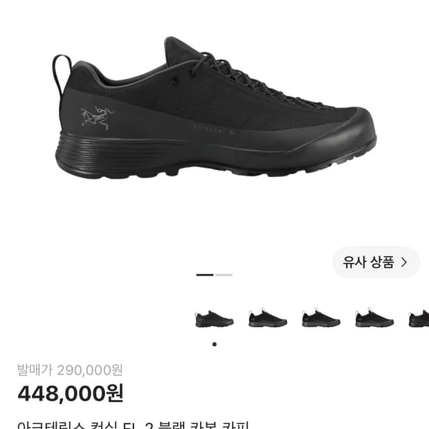 아크테릭스 컨실 FL 2 블랙 카본 카피
