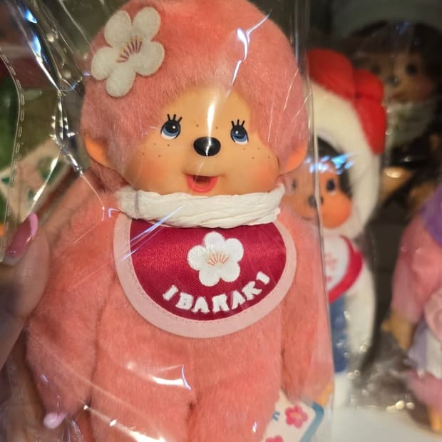 몬치치 이바라키 한정 꽃 인형