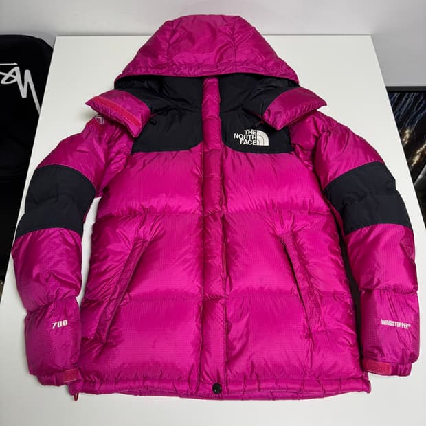 노스페이스 700 윈드스토퍼 구스 패딩 85