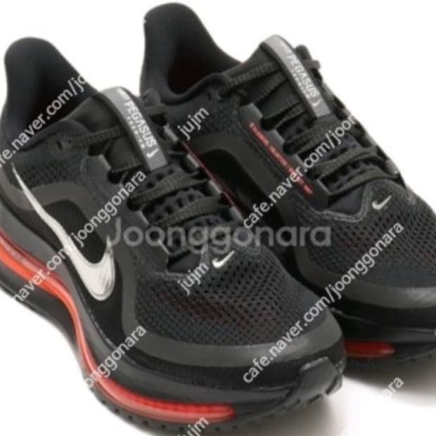 나이키페가수스