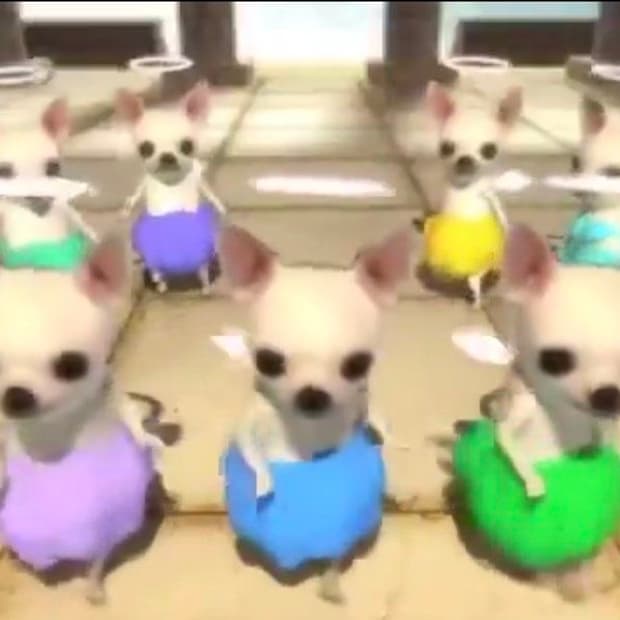 아디다스 복싱화 box hog2 블랙 화이트