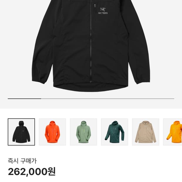 아크테릭스 스쿼미시 후디 L 블랙