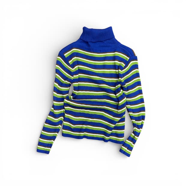 Stripe Turtleneck Slim Knit