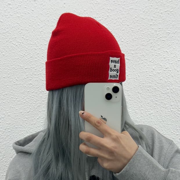 해브어굿타임 레드 비니