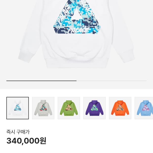 팔라스 트라이지디 후드 22FW