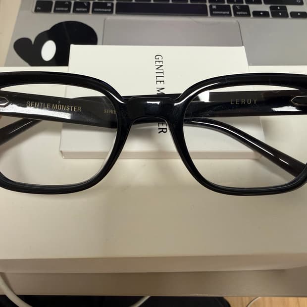 젠틀몬스터 르로이