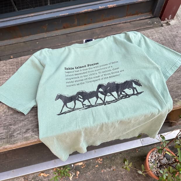90’s Canada Gym master horse logo T