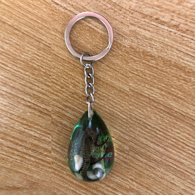 슈프림 해마 키체인 키링