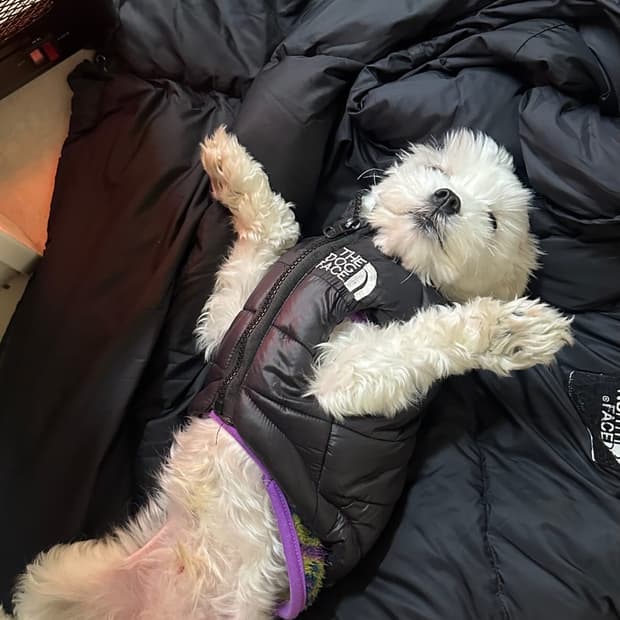 수수료+배송비 이벤트!!!!!