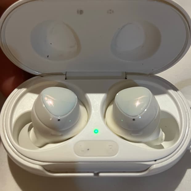 버즈 플러스 급쳐