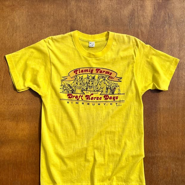80’s Vintage Flamig Farms Horse Days Tee