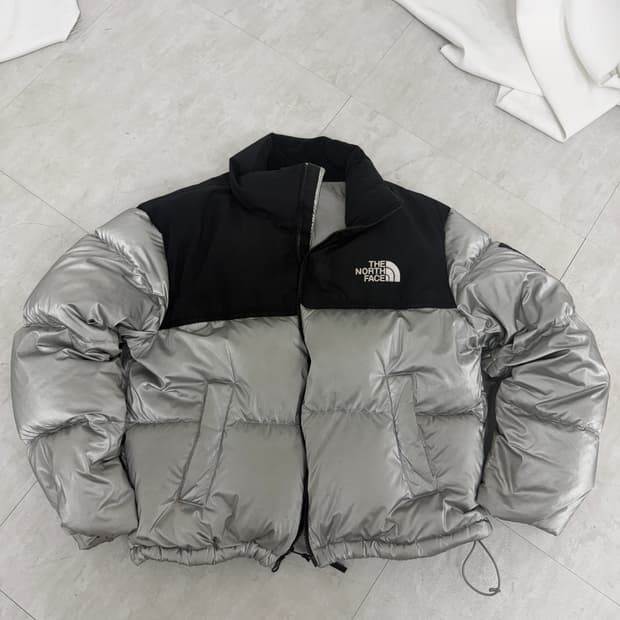 노스페이스 화이트 라벨 노벨티 눕시 다운 자켓 SE 실버