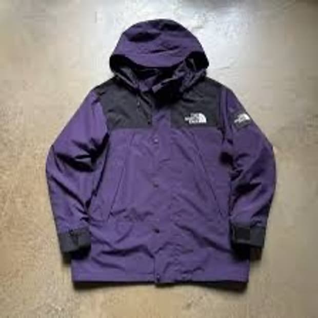 TheNorthFace 퍼플 마운틴 자켓