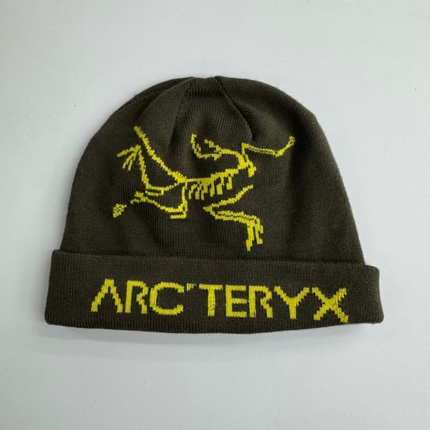 아크테릭스 비니 