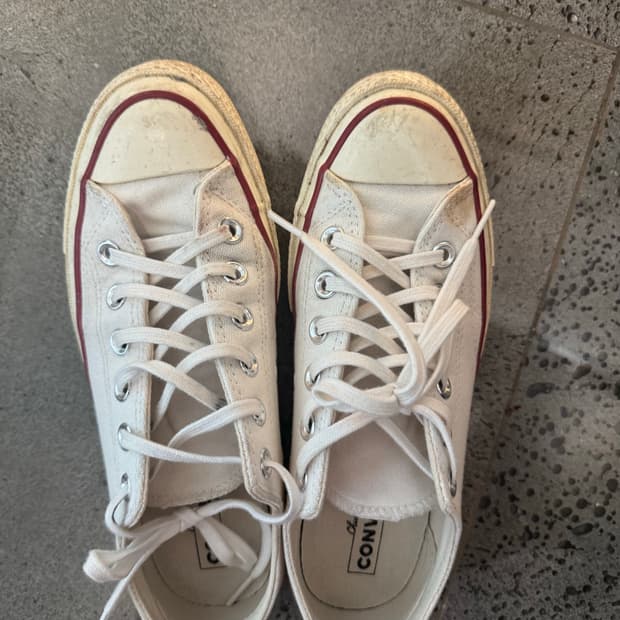 컨버스 화이트 240