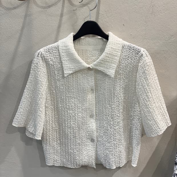쪼글 크롭 카라BL