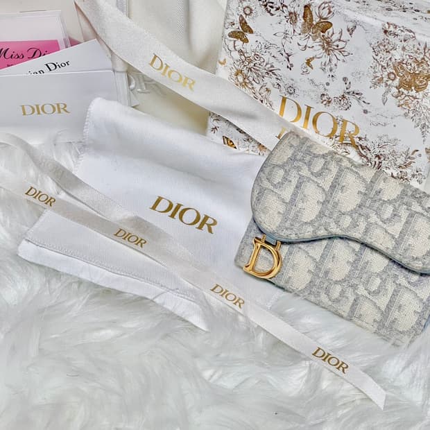 디올 오블리크 새들 카드지갑 그레이