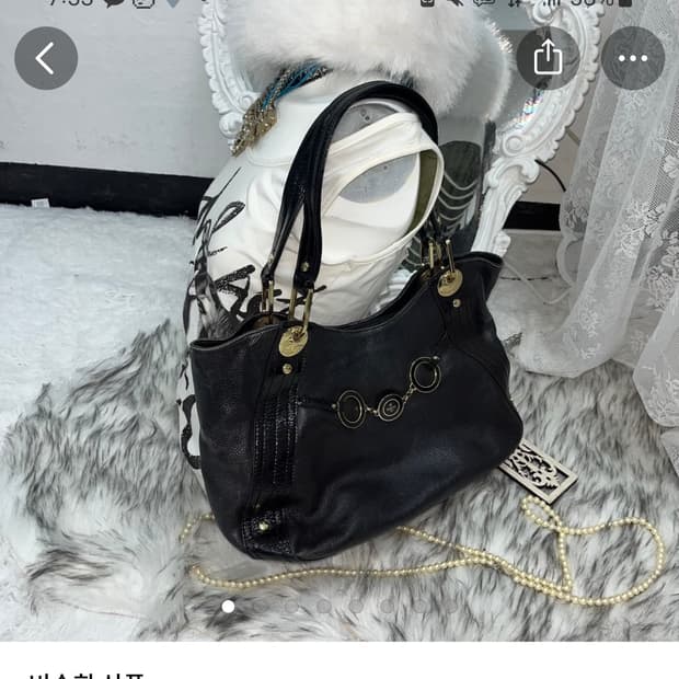 Elegance Paris 가방