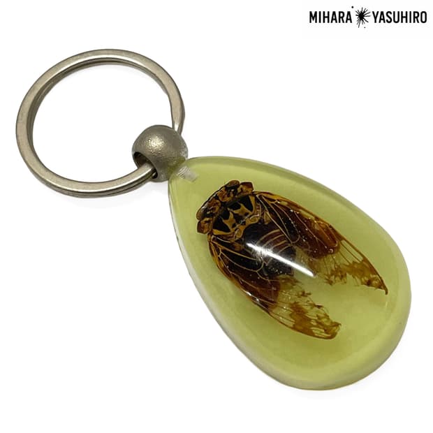 미하라 야스히로 (Mihara Yasuhiro)