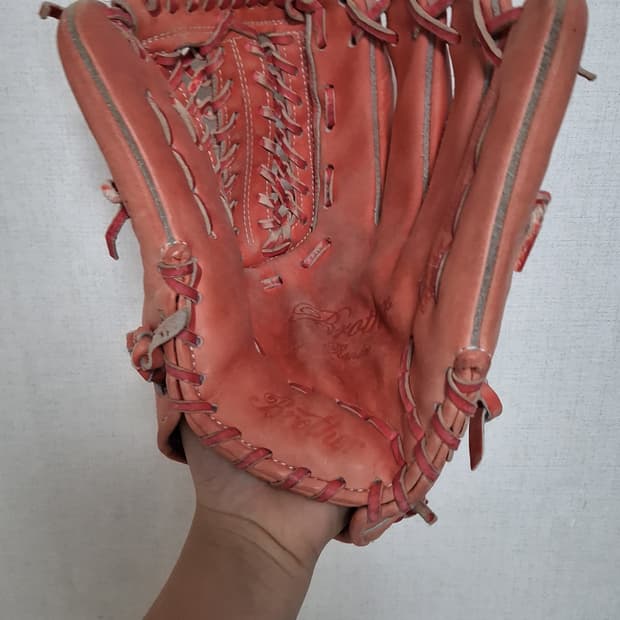 브라더 독도 모델(급처)