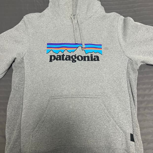 파타고니아 그레이 후드티