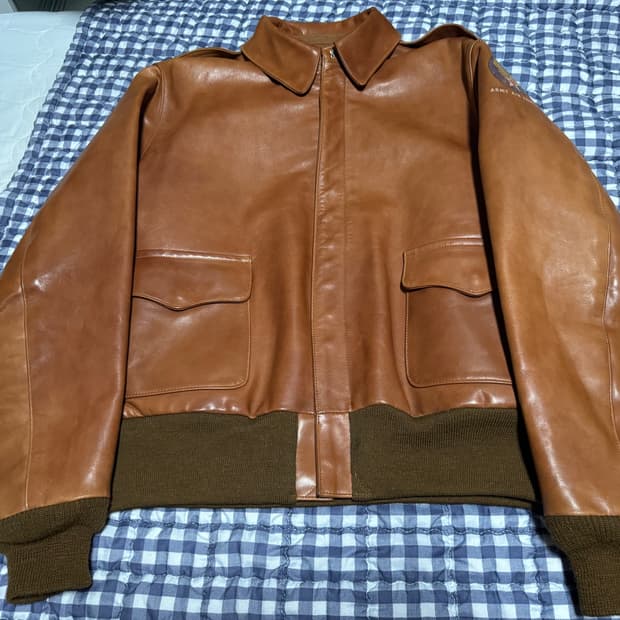 버즈릭슨 A2 422야간비행