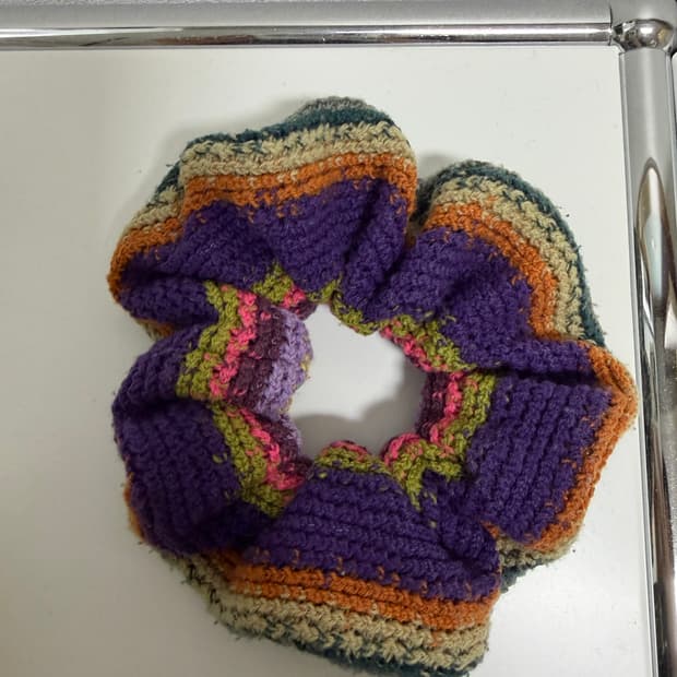 코이세이오 스크런치