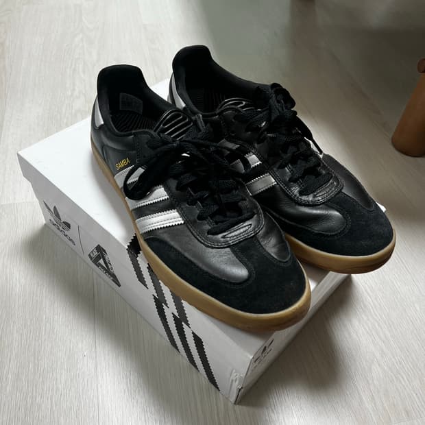 팔라스 삼바(285)