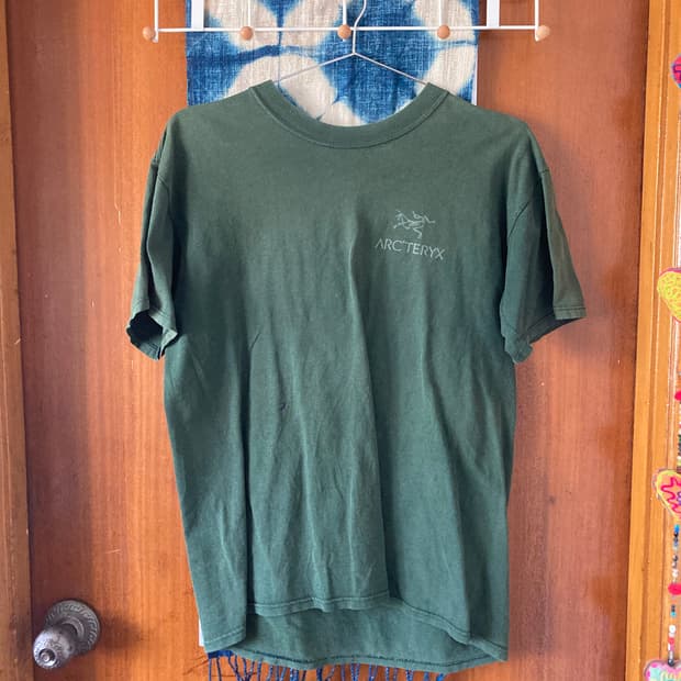 아크테릭스 빈티지 티셔츠