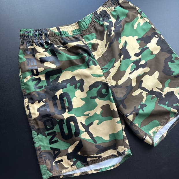 Stussy camo shorts