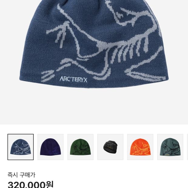 아크테릭스 버드 헤드 토크 문리트 비니