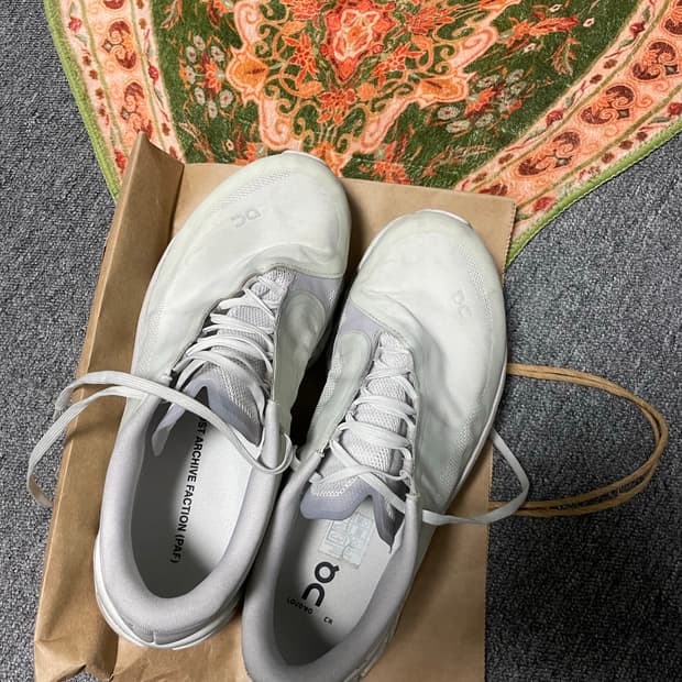 파프 온 클라우드몬스터 프로토스